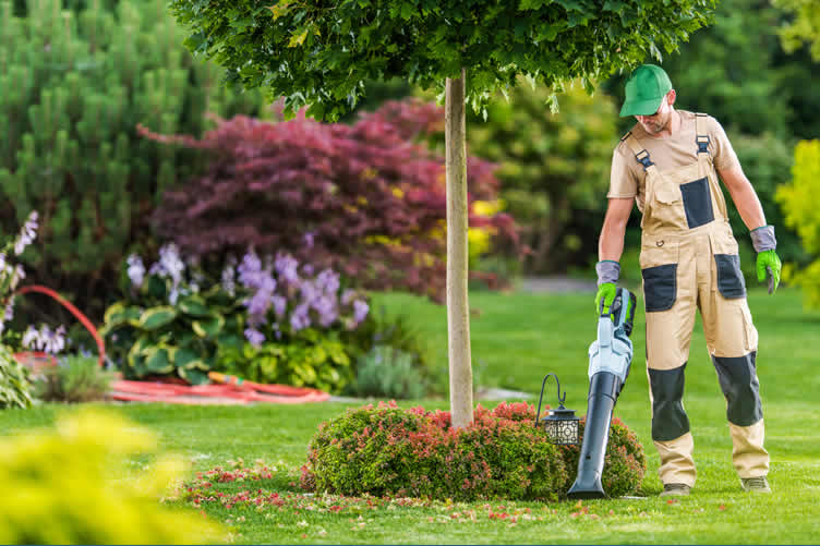 tips on creating a sensory garden