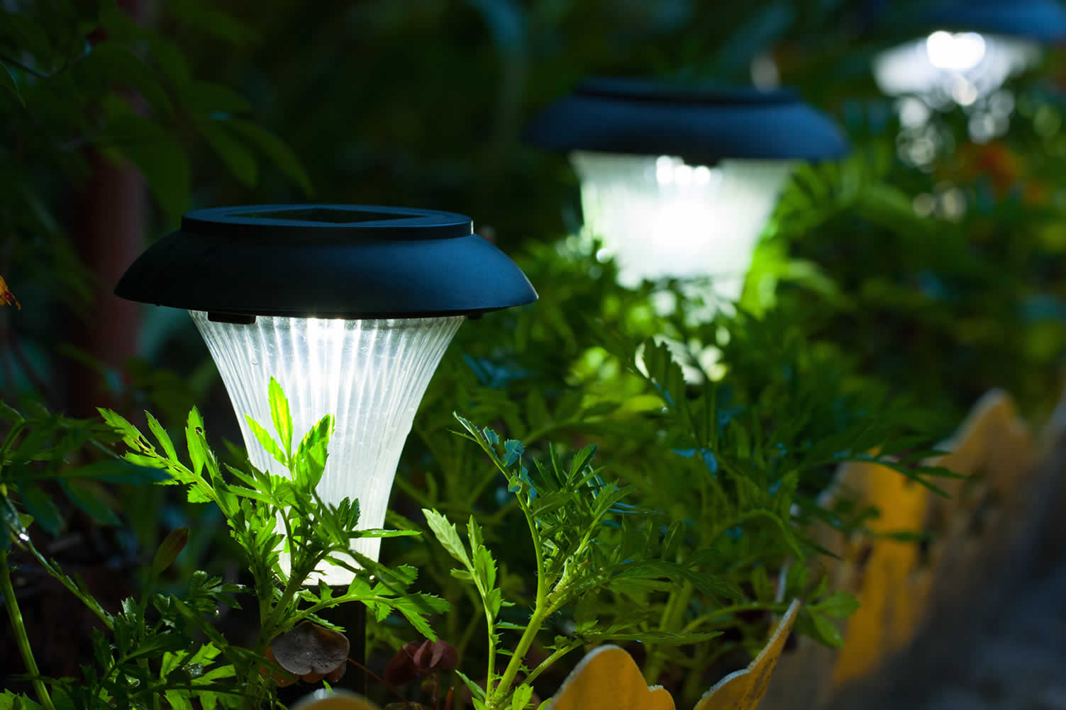making your dream yard