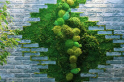 Creating a Green Oasis: How To Use Moss Wall Art To Transform Your Home