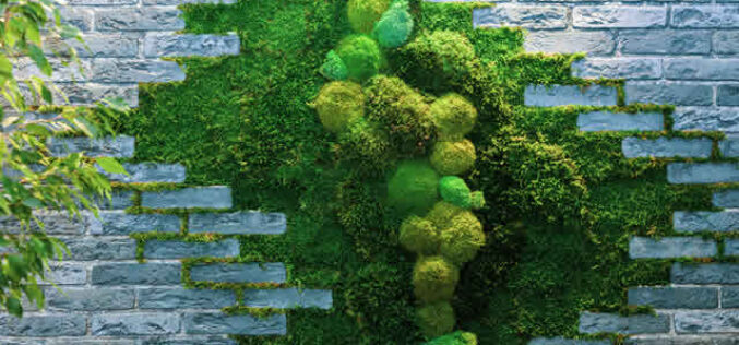 Creating a Green Oasis: How To Use Moss Wall Art To Transform Your Home