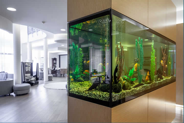 how to use moss wall art