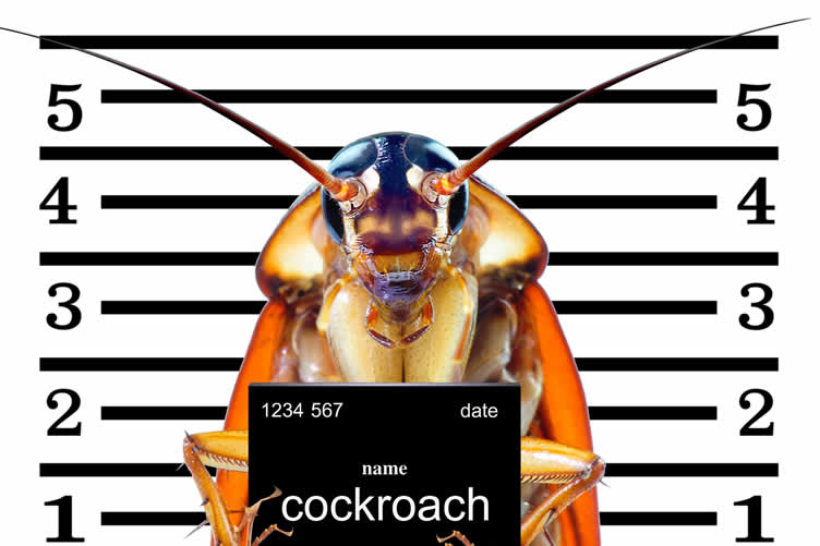 how to reduce the damage done by pests