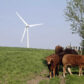 Using Wind to Power Your Home