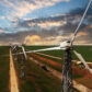 Using Wind to Power Your Home