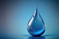 Moisture Mayhem: The Dangers of Excessive Moisture Accumulation