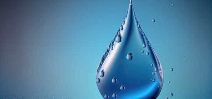 Moisture Mayhem: The Dangers of Excessive Moisture Accumulation