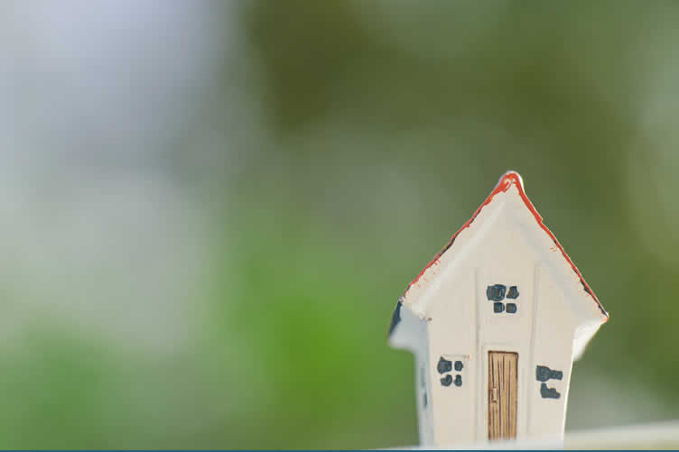 lifelong investments to consider for your forever home