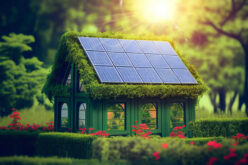 Top Home Renovation Ideas for a Greener Home
