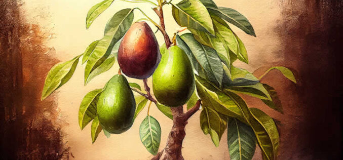 How to Properly Care for a Fruit Tree | A Guide for Gardeners