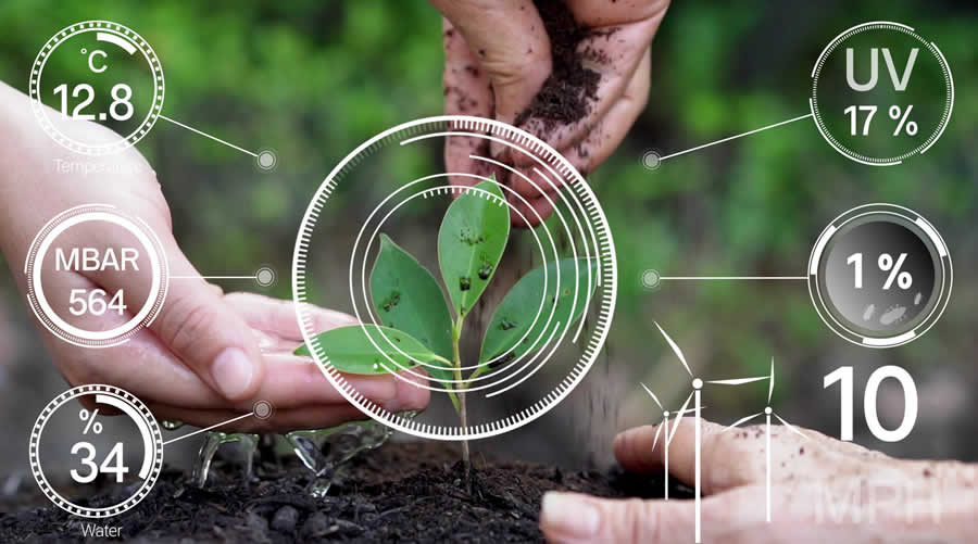 health benefits of home gardening