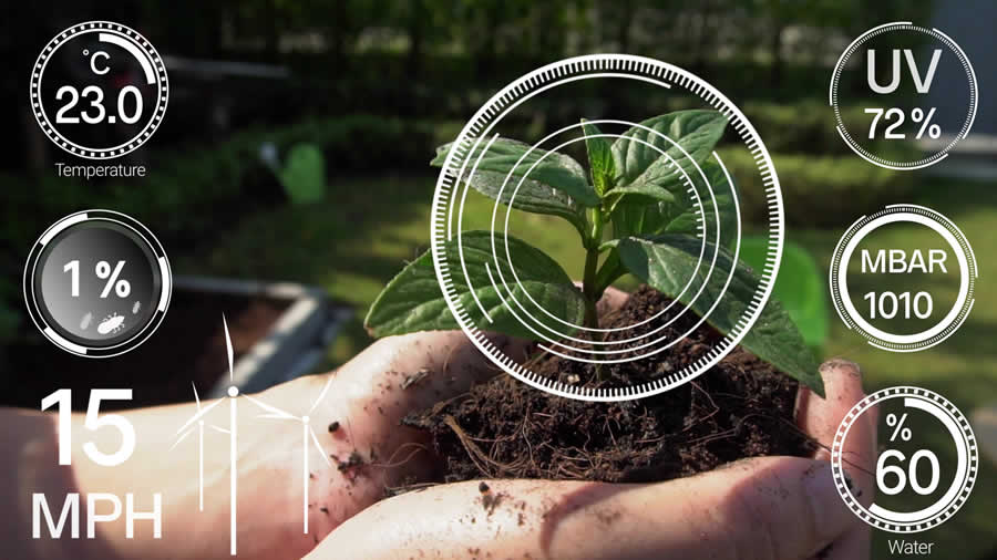 using home IoT