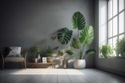Ways to Display Houseplants In An Interior Room Setting