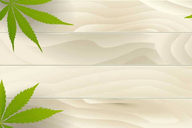 flooring options for an eco-friendly home