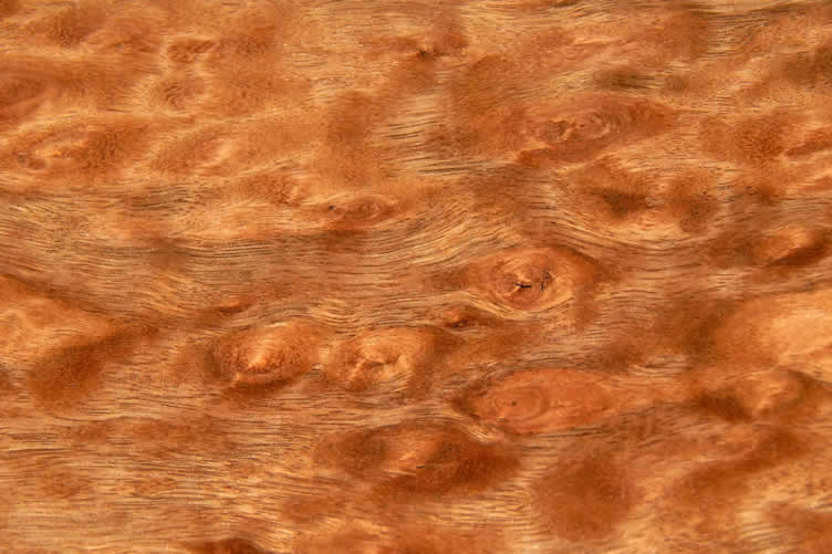 flooring options for an eco-friendly home