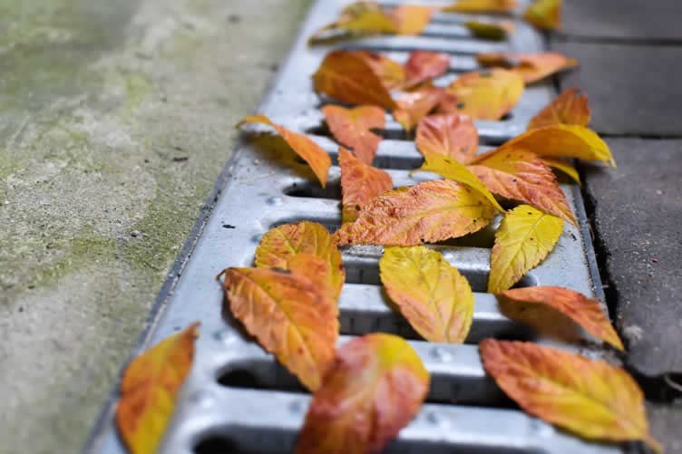 designing a better yard drainage system