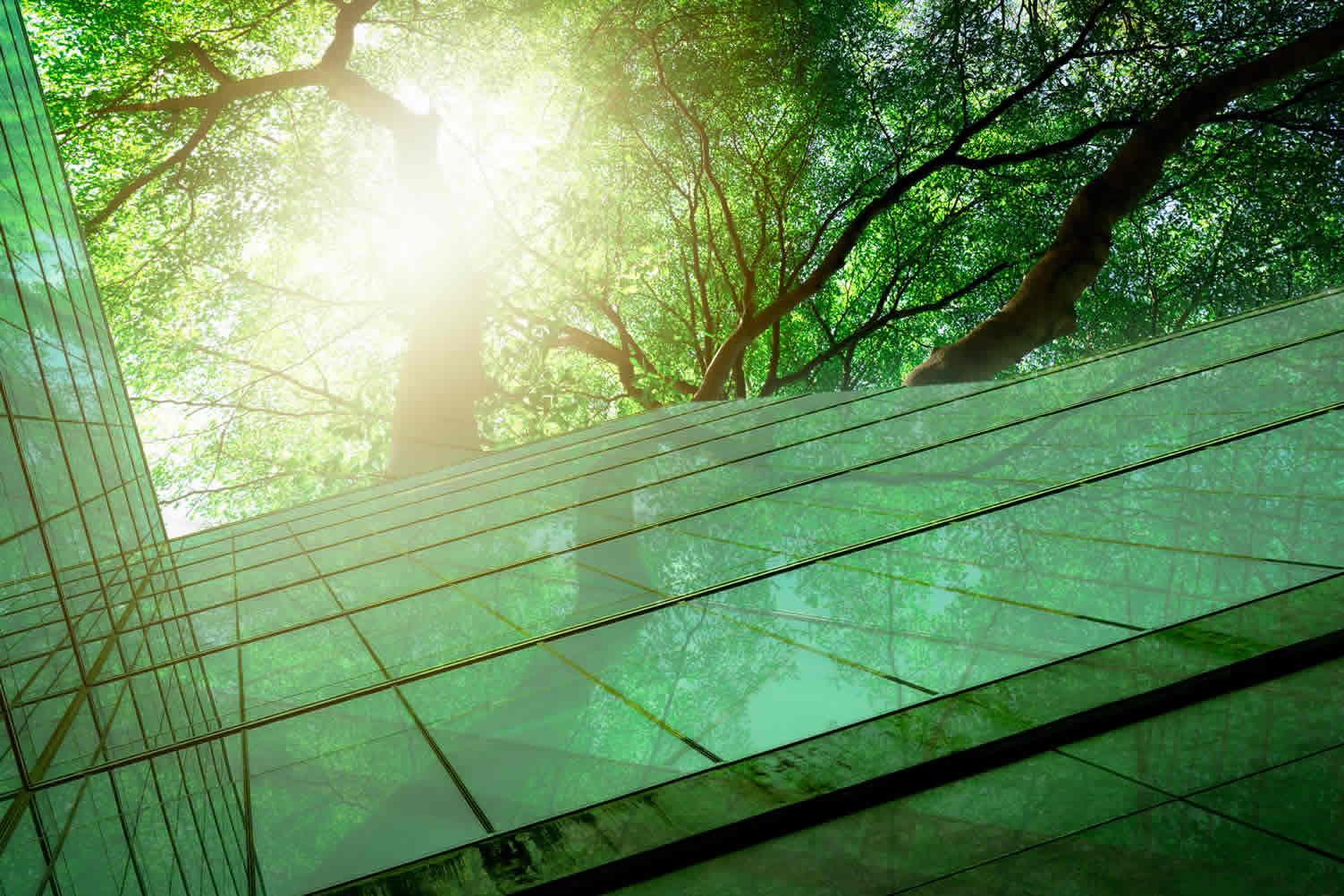 how to get the best glass products