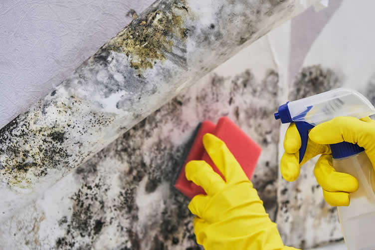 about drywall installation and repair