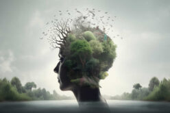 The Healing Home: How Simple Renovations Can Boost Your Mental Health