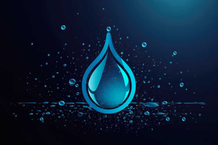 home renovation with plumbing expertise