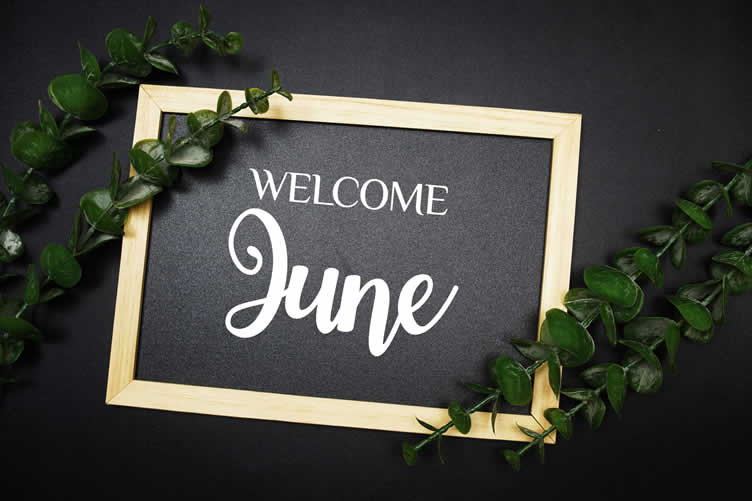 home maintenance calendar