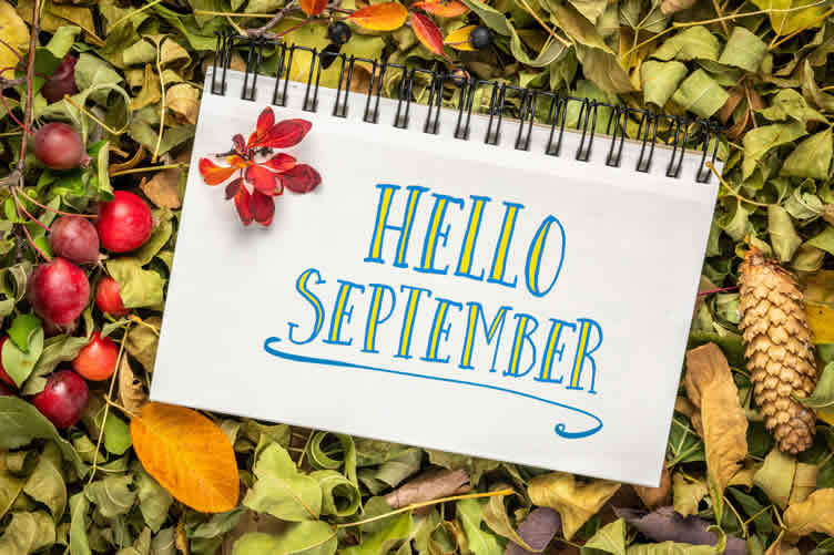 home maintenance calendar