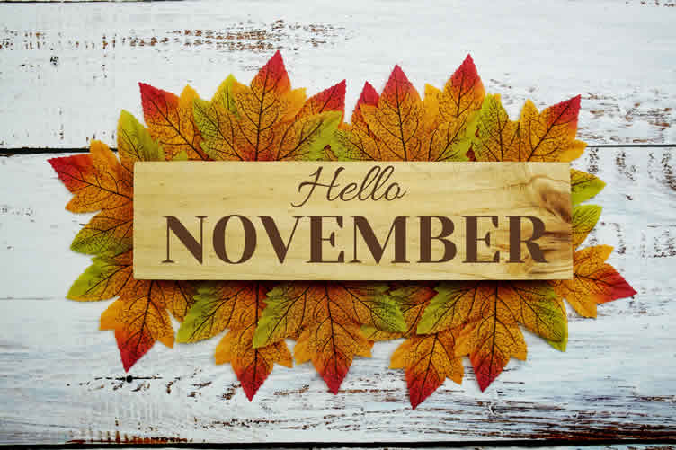 home maintenance calendar