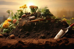 Living Green By Building and Utilizing a Garden Compost