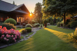 Elevating Your Landscape Aesthetics