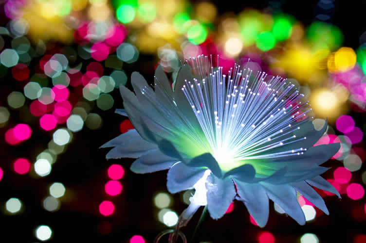 flower path decoration