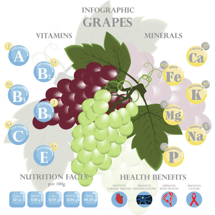 growing grapes in wine barrels