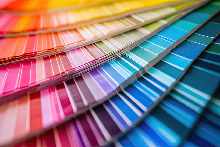 interior walls with paint color