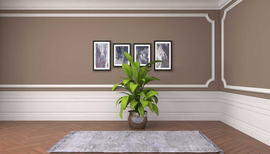 interior walls with paint color