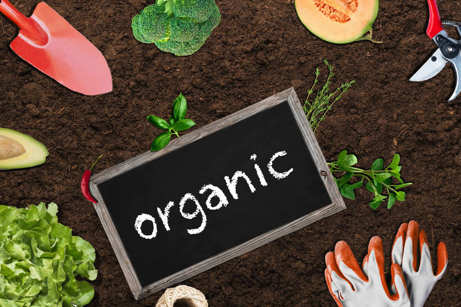micro-homesteading
