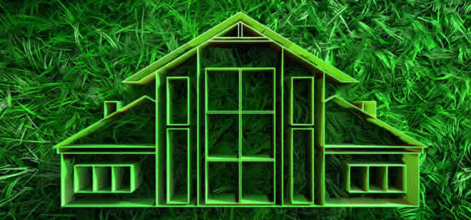 Micro-Homesteading Magic Transform Your Home and Garden into a Self-Sufficient Paradise