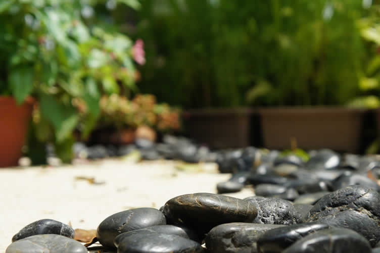 landscape garden beds