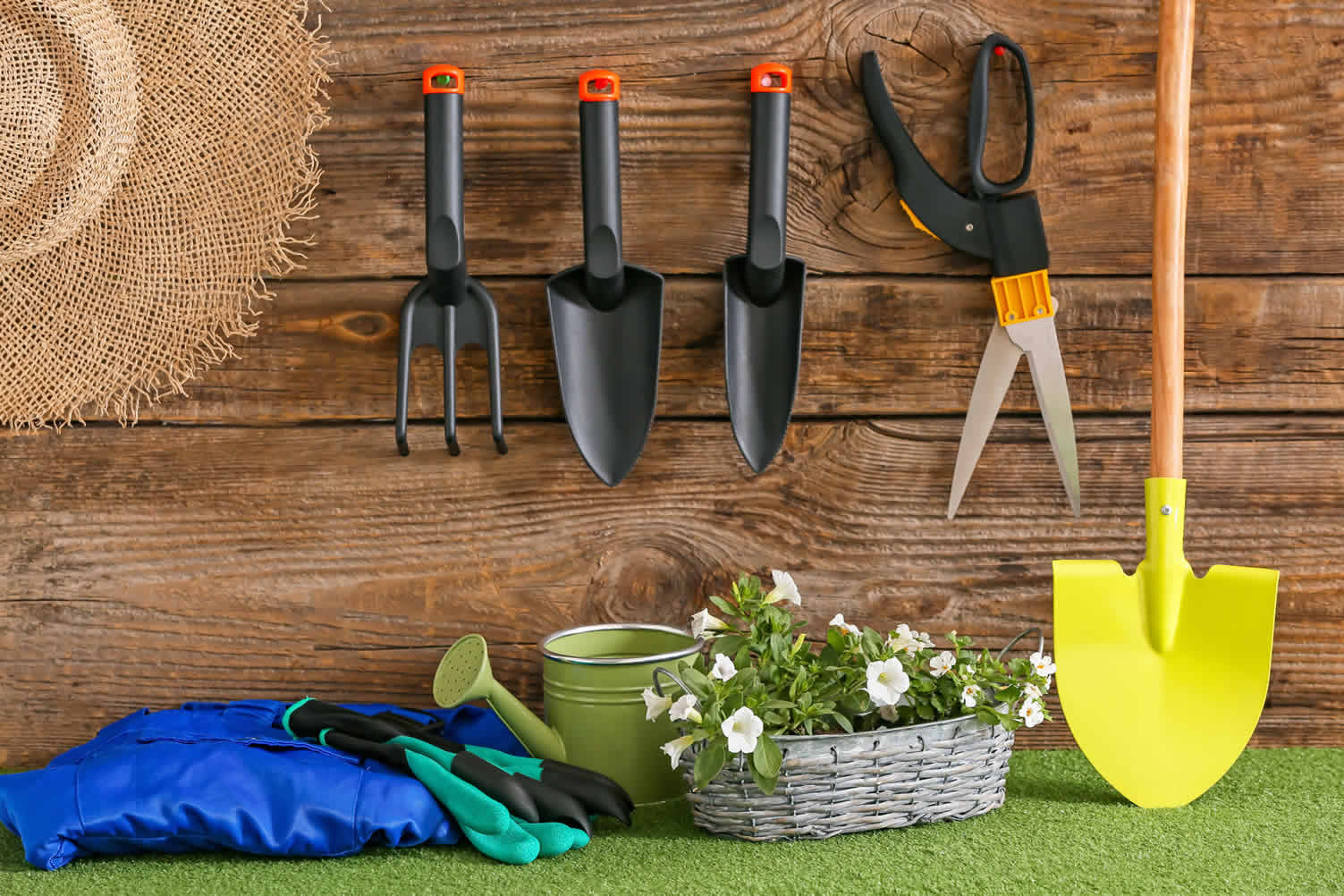 landscape garden beds