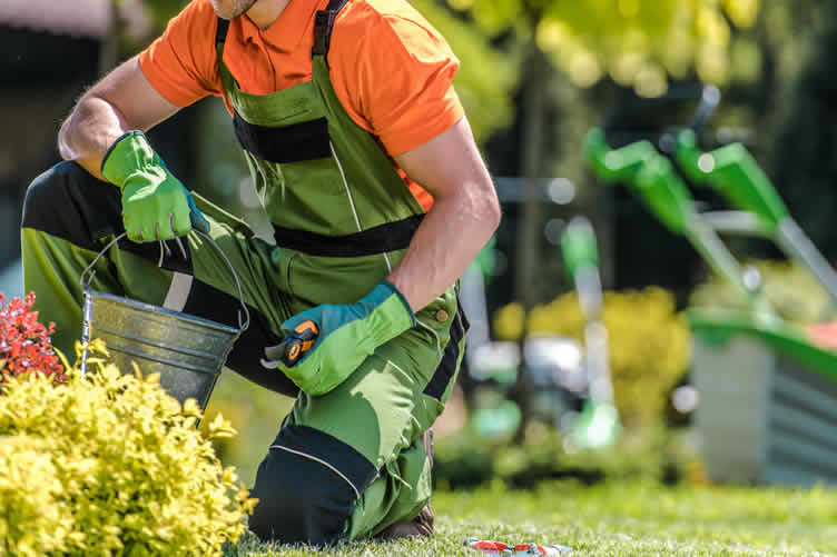 give your garden a new life