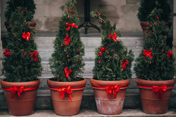 decorating for Christmas