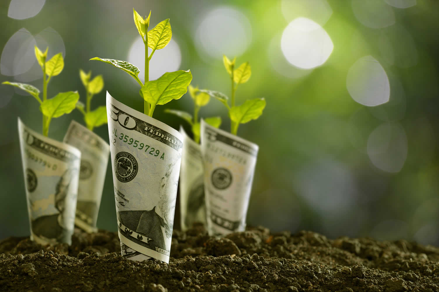 home improvement grants