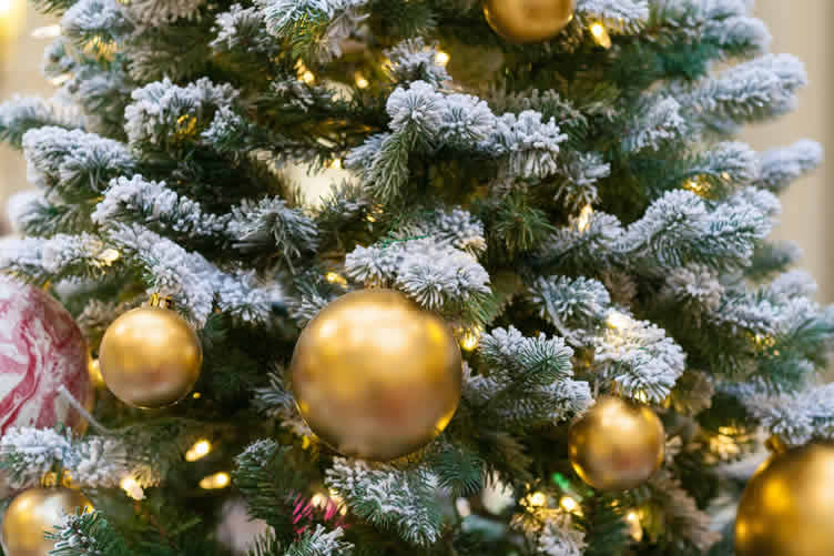 christmas traditions