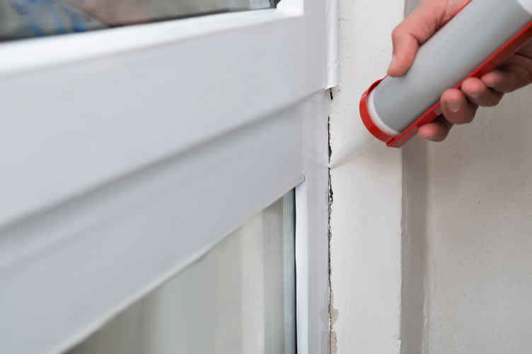 house spiders 101