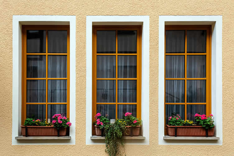 window replacement guide