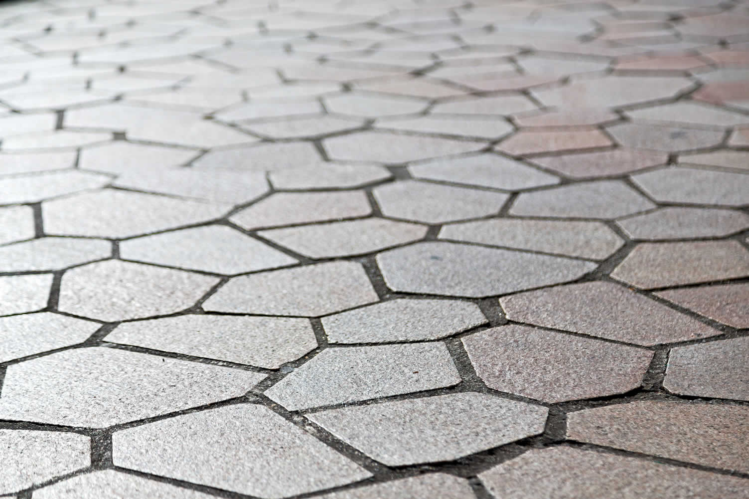 beautiful hardscaping