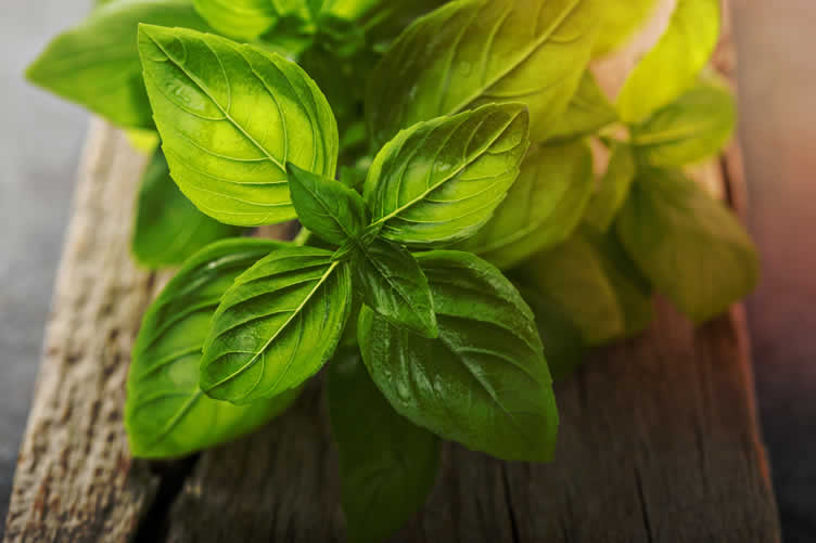 knowing your herbs and spices