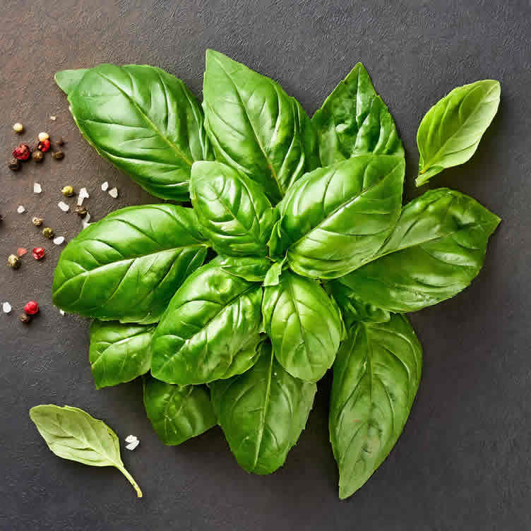knowing your herbs and spices