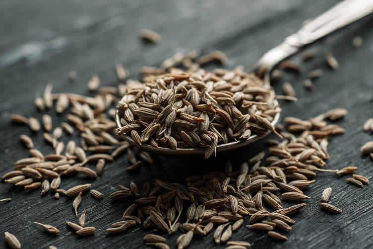 knowing your herbs and spices