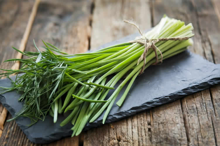 knowing your herbs and spices