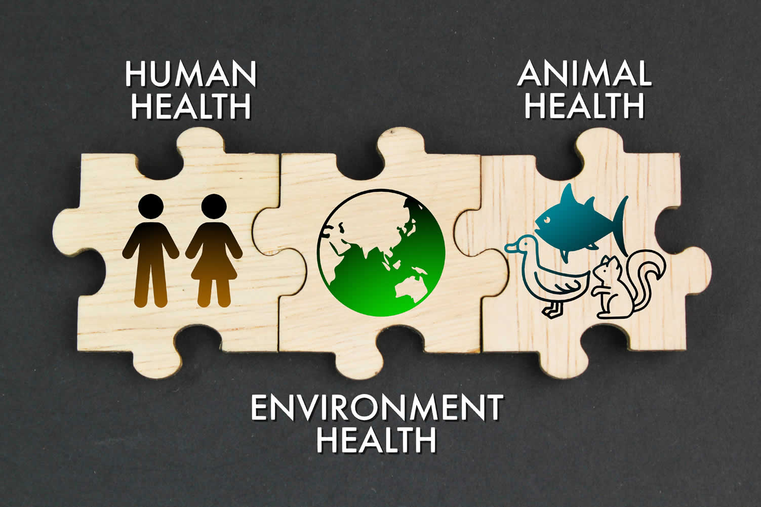 sustainable building practices