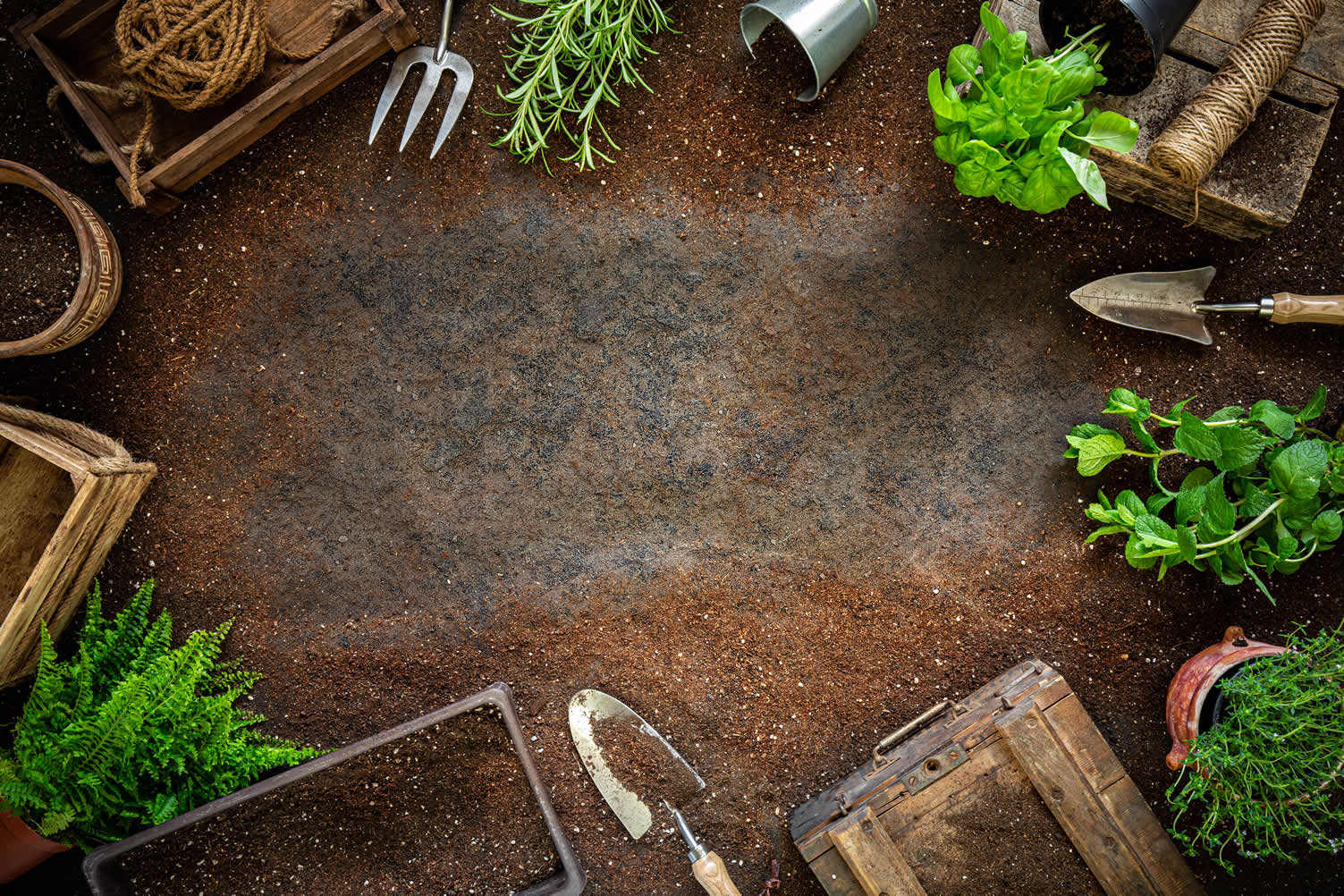 vegetable gardening