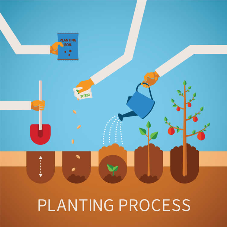 vegetable gardening